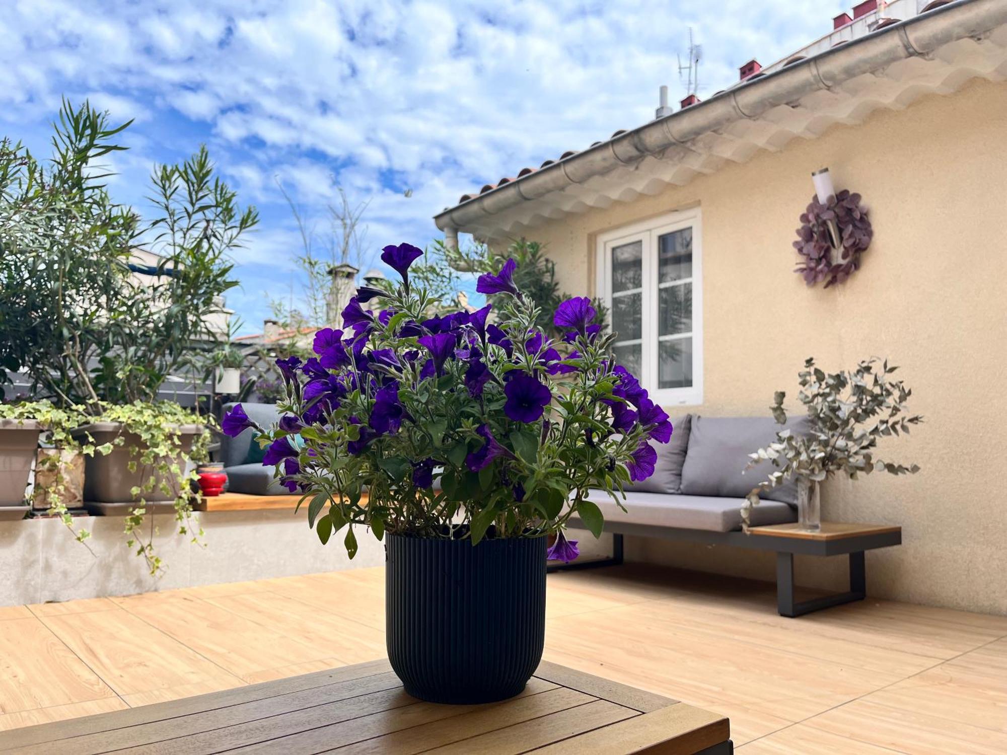 Irin Hotel Antibes Ngoại thất bức ảnh